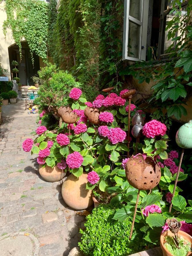 Apothekergaarden Stege B&B المظهر الخارجي الصورة