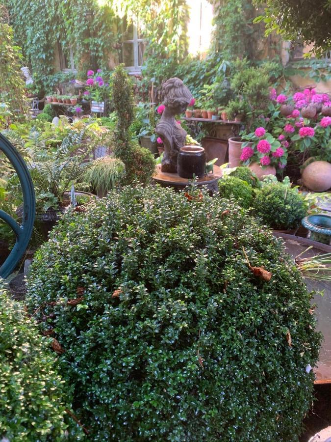 Apothekergaarden Stege B&B المظهر الخارجي الصورة