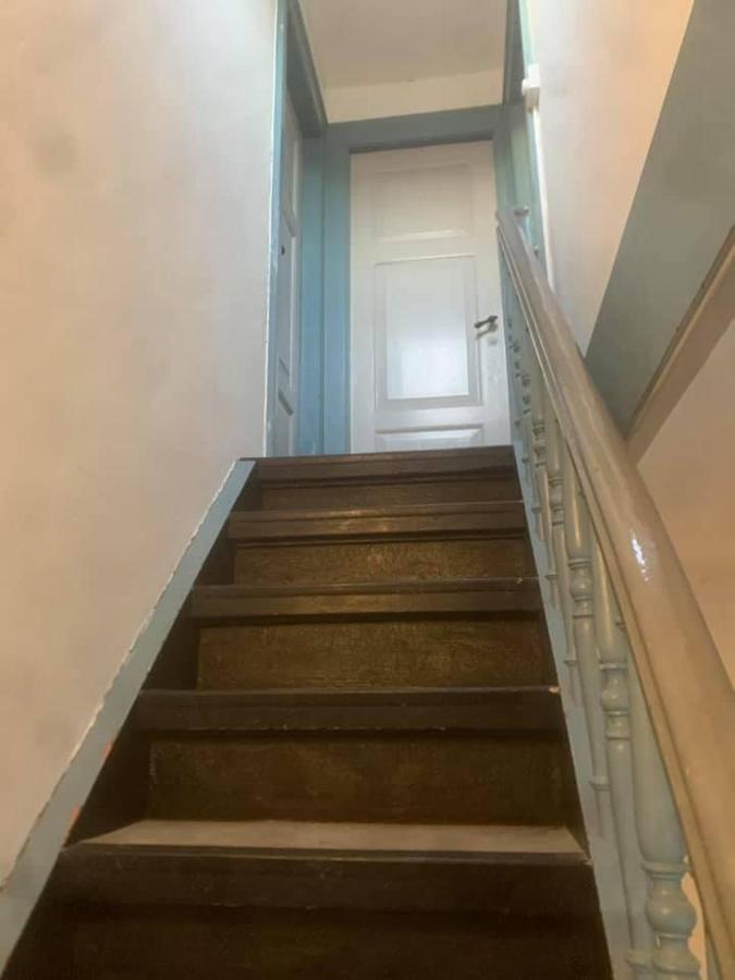 Apothekergaarden Stege B&B المظهر الخارجي الصورة