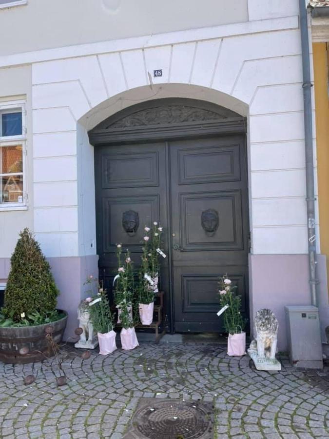 Apothekergaarden Stege B&B المظهر الخارجي الصورة